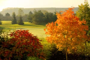 Couleurs d'automne