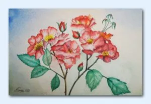 Roses sauvages